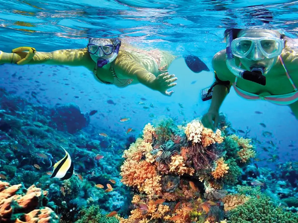 Snorkeling in Cancun