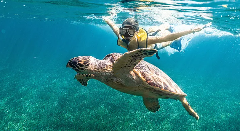 Snorkeling at MUSA
