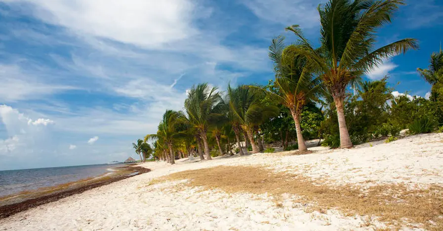 Punta Nizuc Cancun snorkeler’s paradise with coral reef
