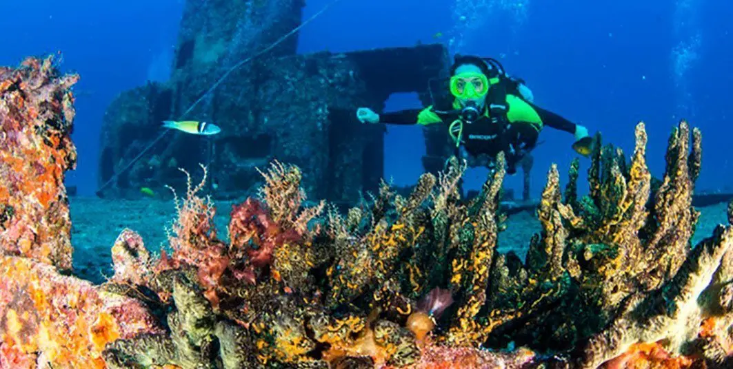 Diving in Cozumel near Cancun