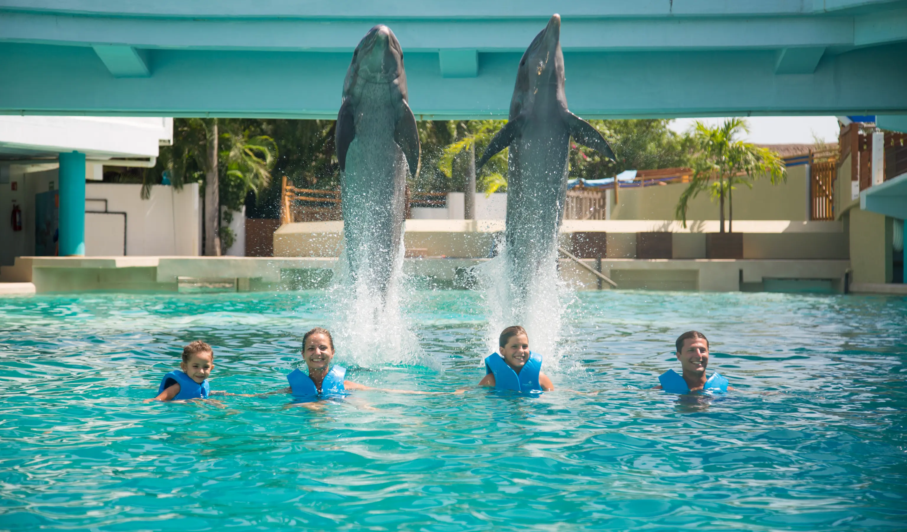 Familiy with dolphins