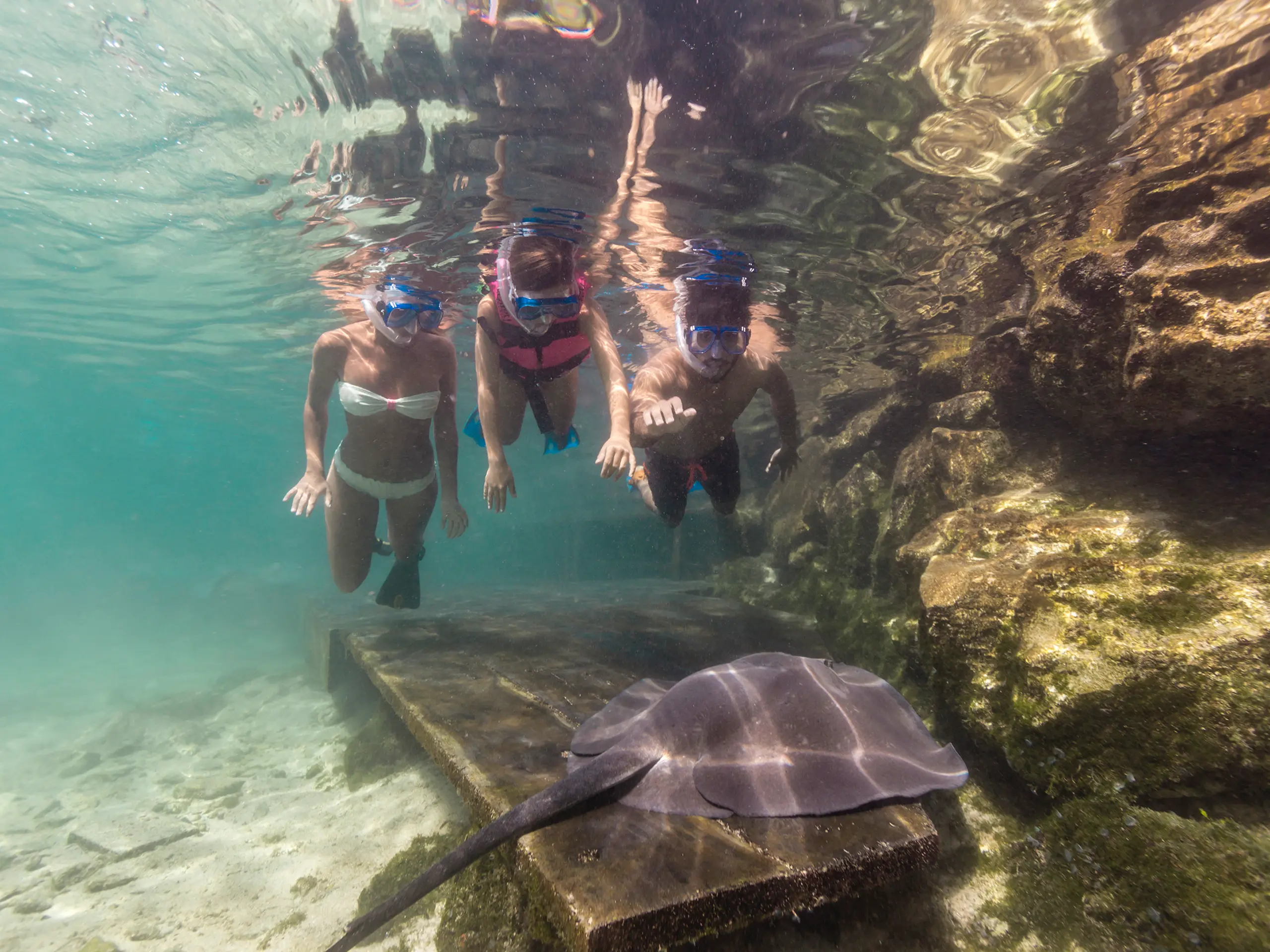 Snorkel with Rayas