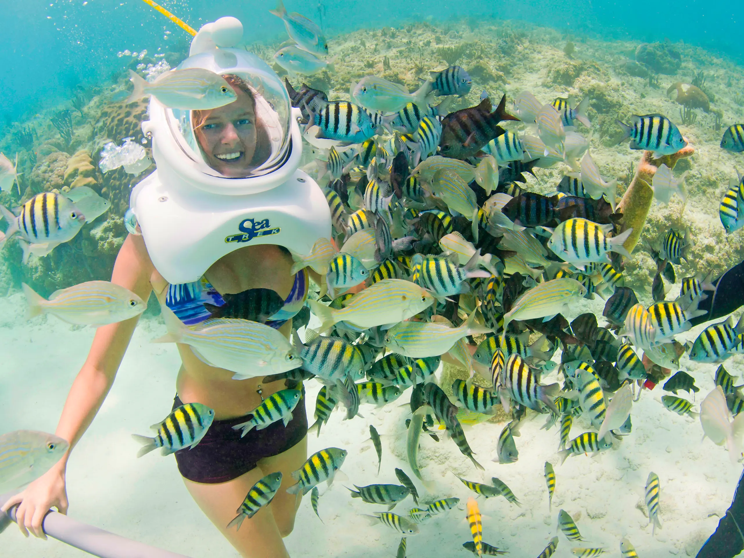 Sea Trek